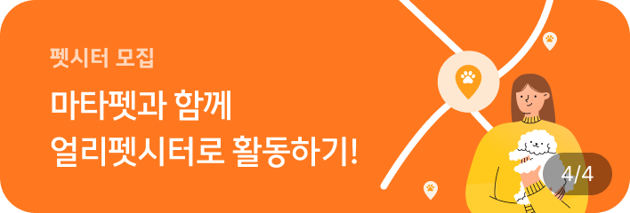 배너4